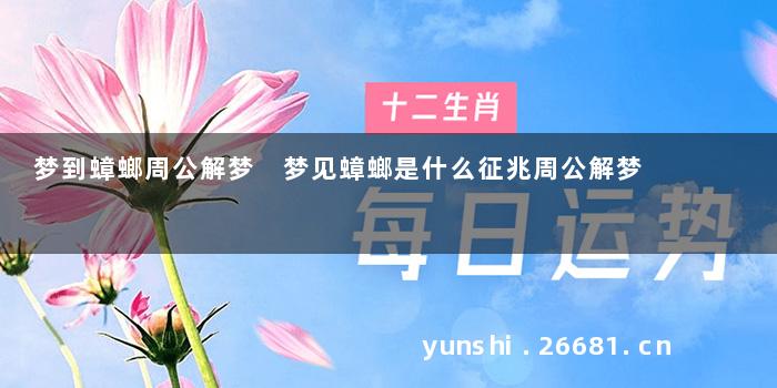 梦到蟑螂周公解梦 梦见蟑螂是什么征兆周公解梦